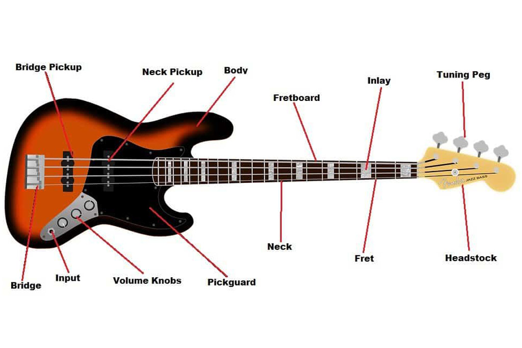 Different parts of a bass guitar