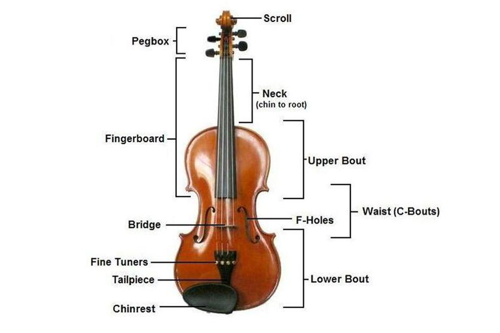 How to Tune a Violin: Strings, Types & Steps